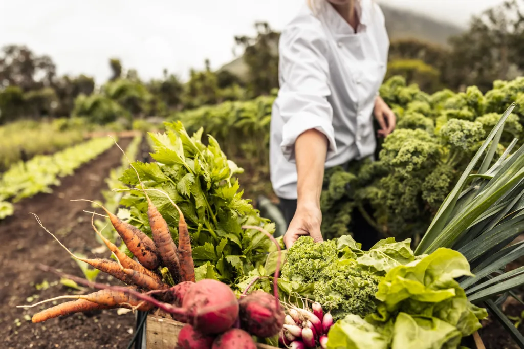 fresh produce garden